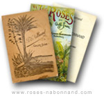 Catalogues - www.roses-nabonnand copyright